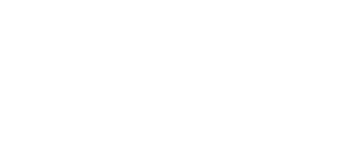 Blumen Schmidt Logo sw