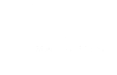 Salon Finesse Logo sw